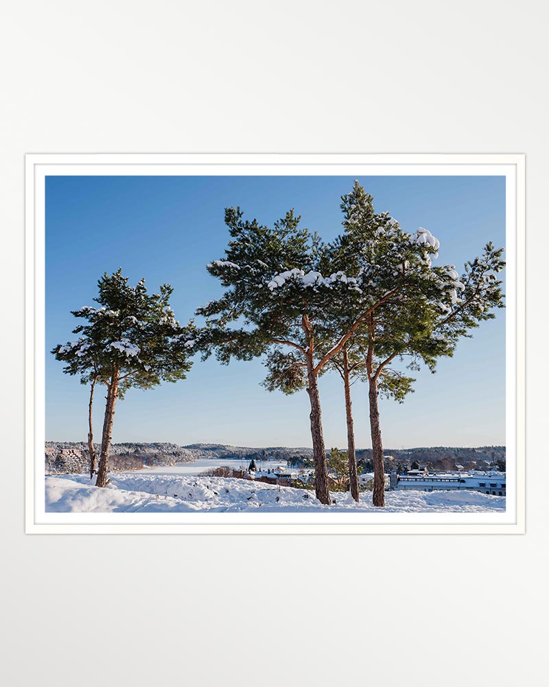Winter's embrace overlooking the town