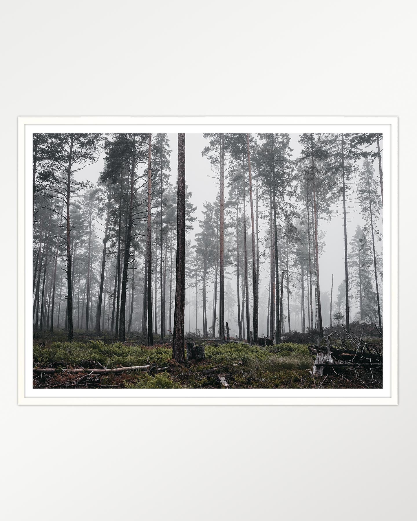 Dusky reflections: Serenity at twilight