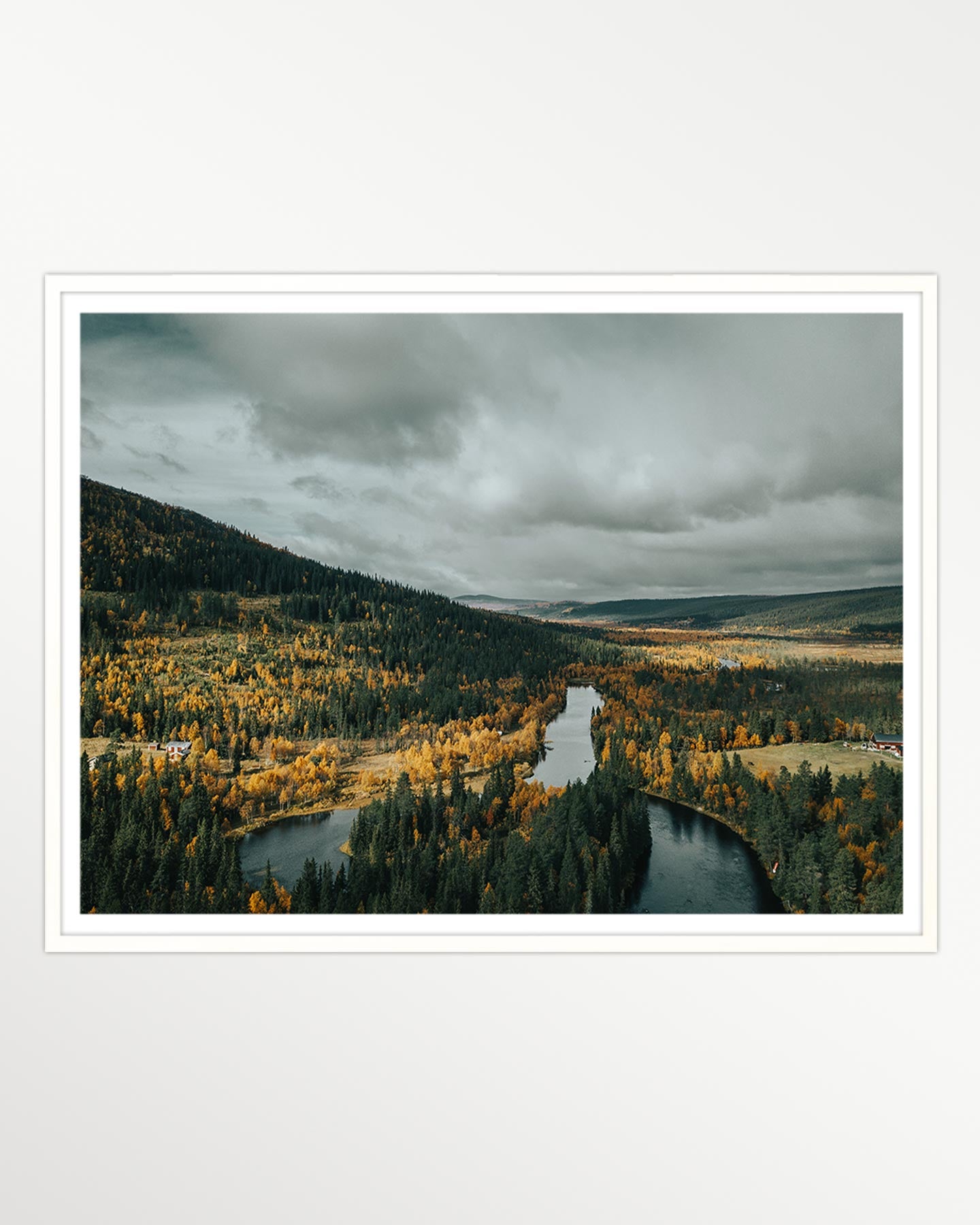 The meandering river