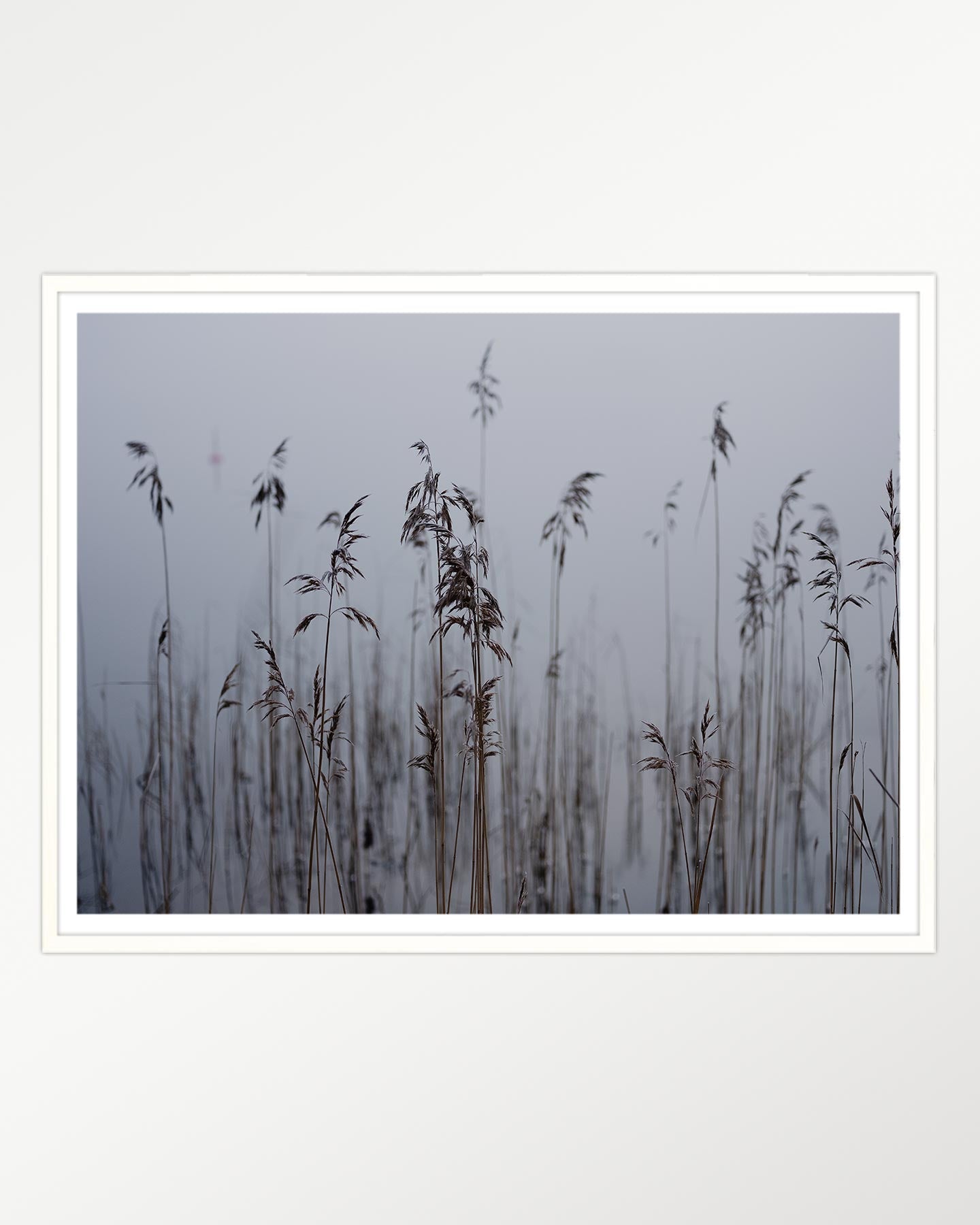 Whispers in the mist