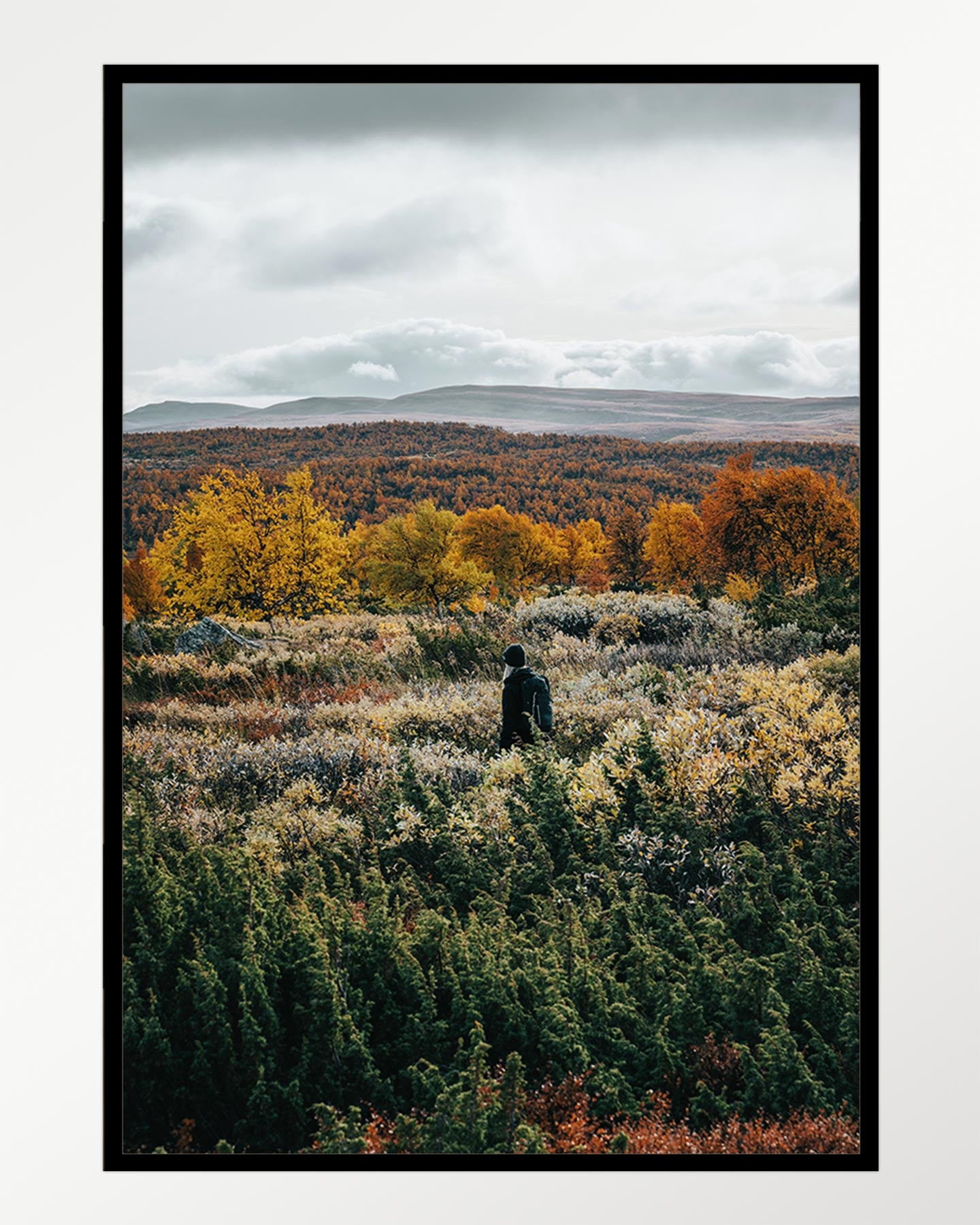 Autumn contemplation