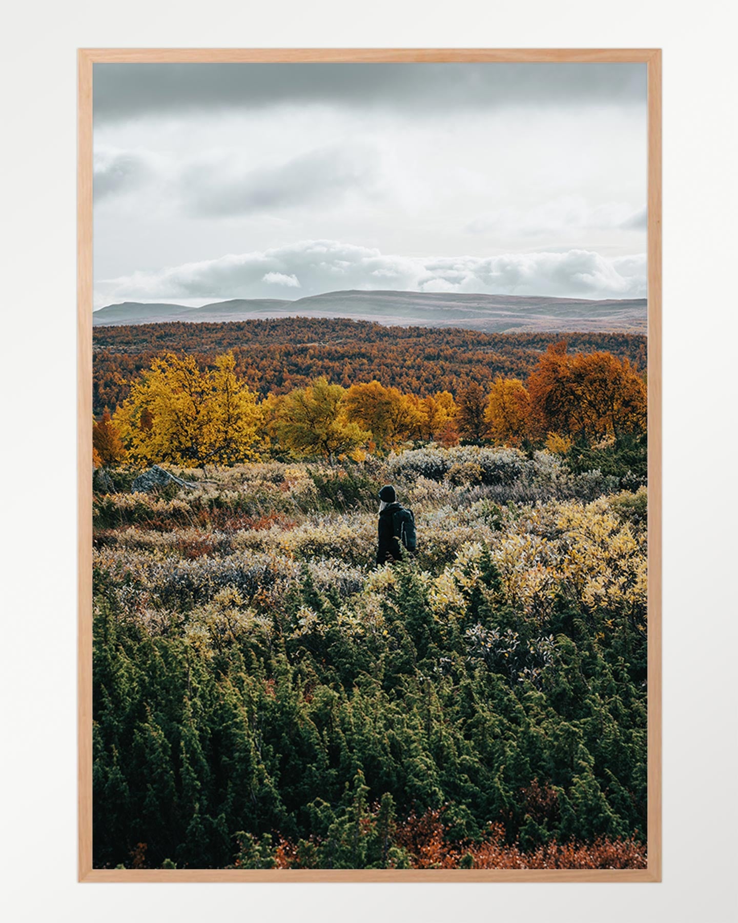 Autumn contemplation