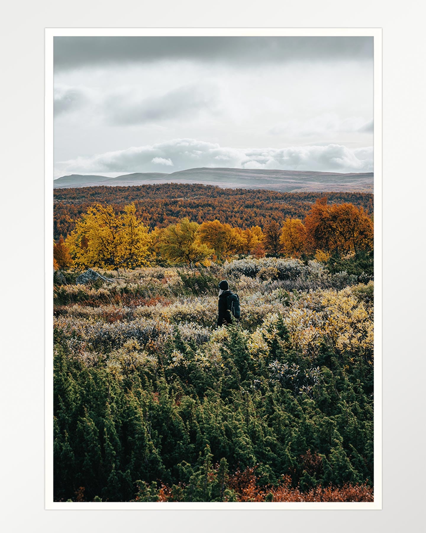 Autumn contemplation