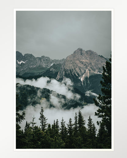 Enshrouded peaks and whispering pines