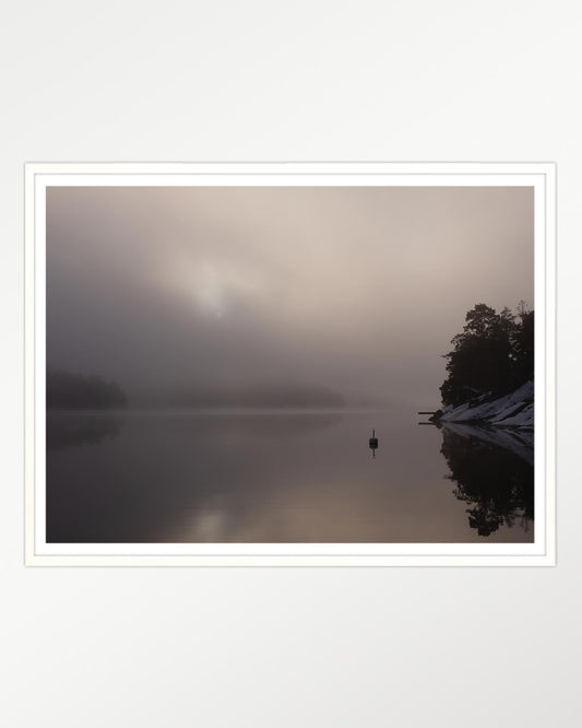 Tranquil dawn: Mist and reflections